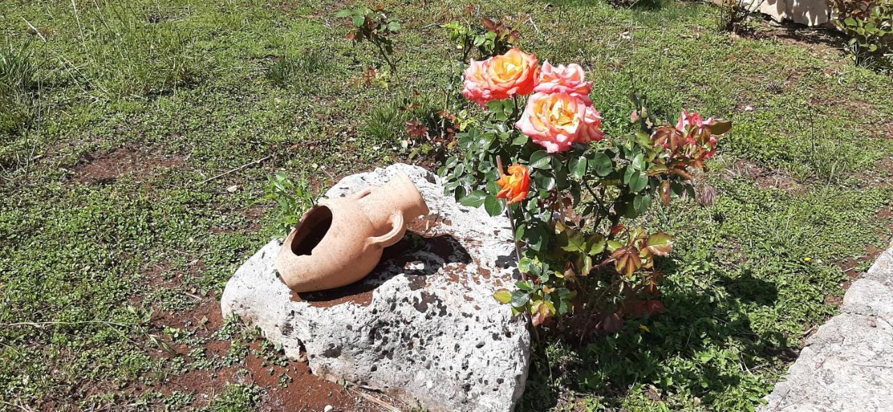 Masseria San Nicola B&B Торе Санта Сузана Екстериор снимка