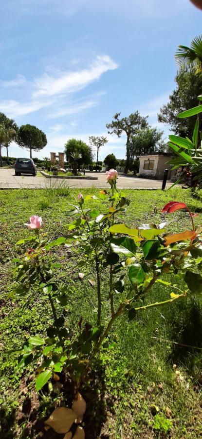 Masseria San Nicola B&B Торе Санта Сузана Екстериор снимка
